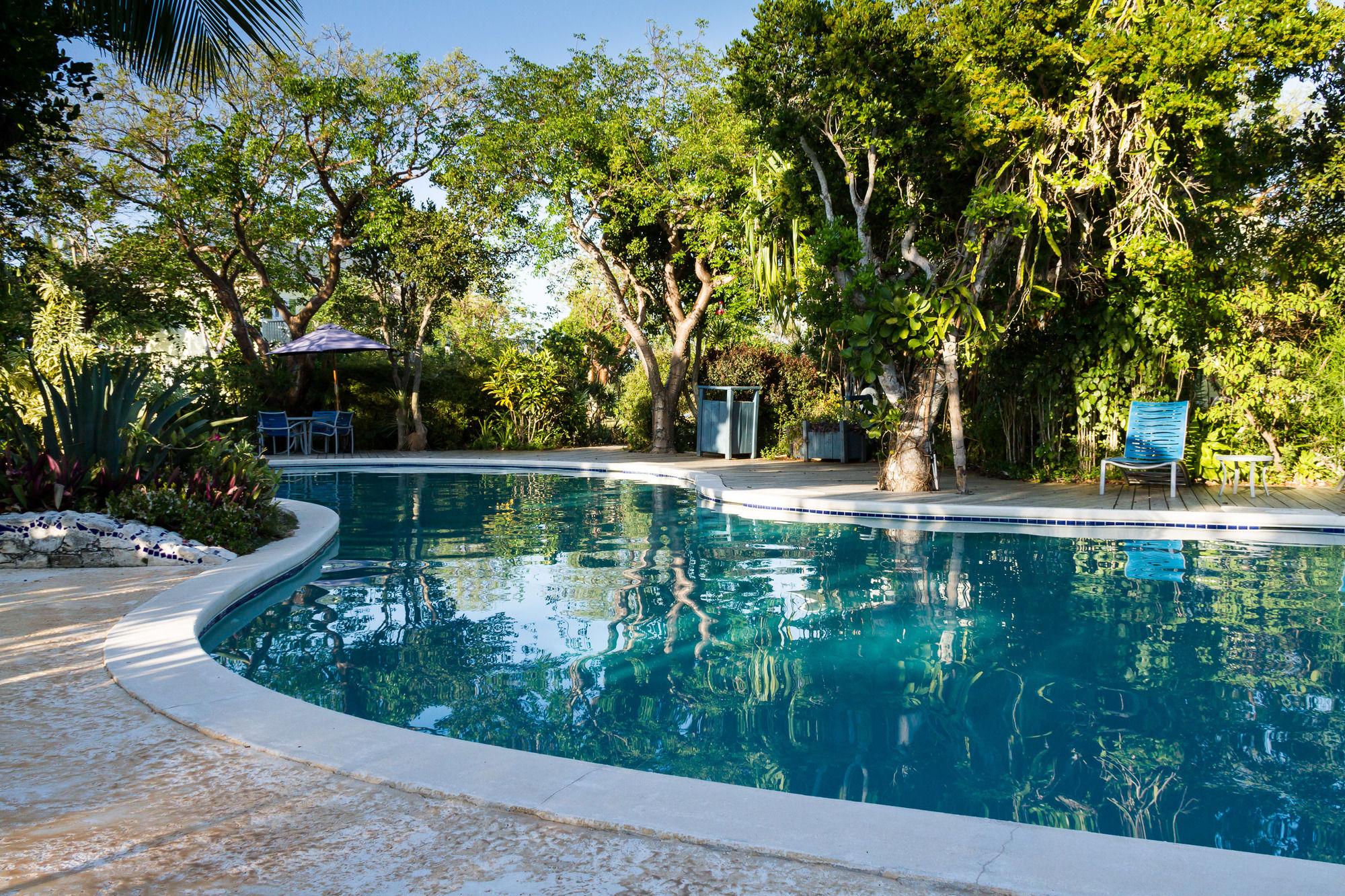 Pineapple Fields Aparthotel Гавърнърс Харбър Екстериор снимка